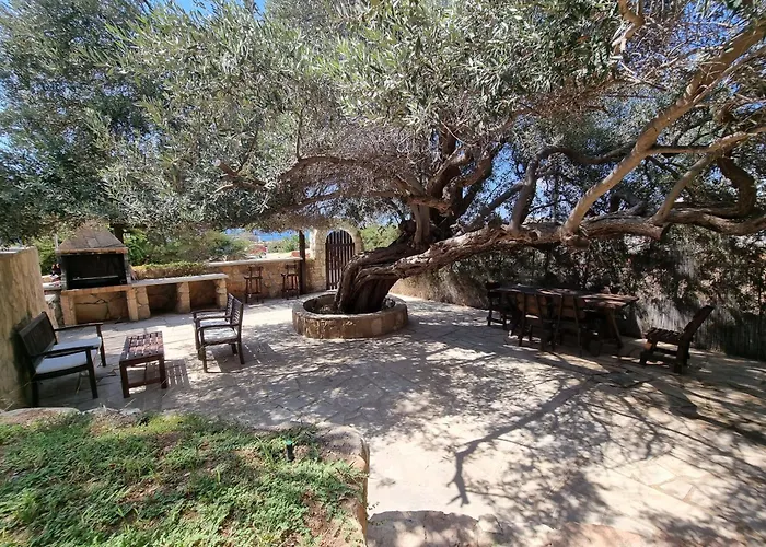 Olive Beach Villa