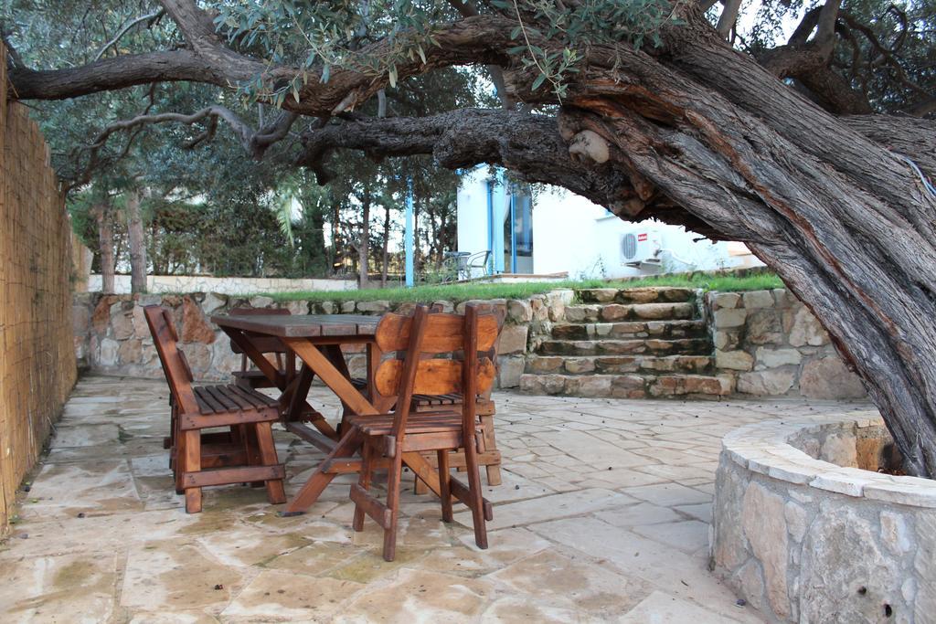 Olive Beach Пейя